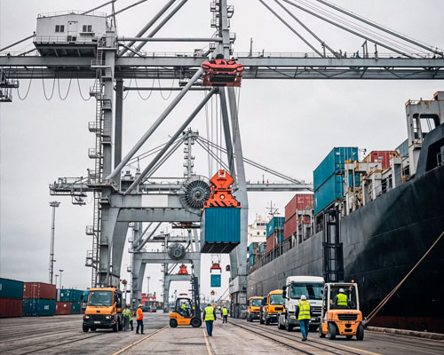 Nexus Shipping and Transportation LLC Abu Dhabi UAE